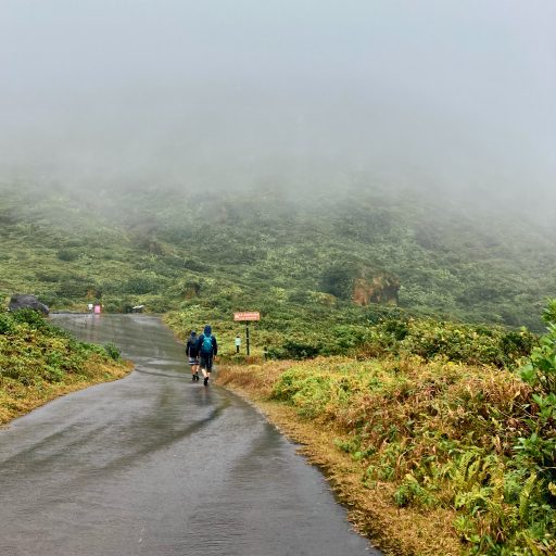 Guadeloupe 2